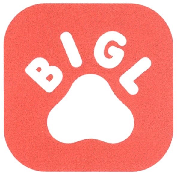 bigl