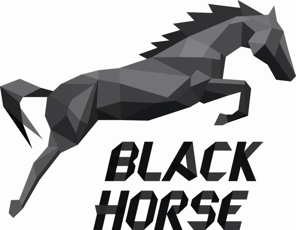 black horse