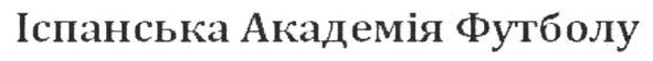 іспанська академія футболу