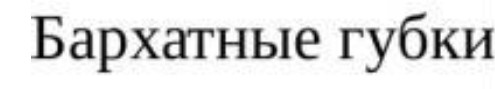 бархатные губки