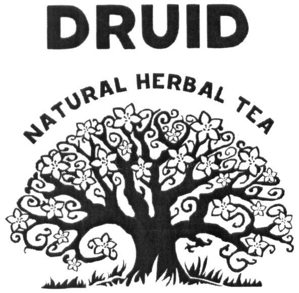 natural herbal tea