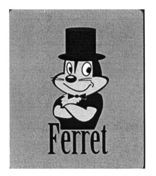 ferret