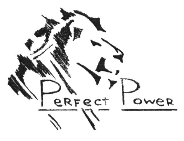 perfect power