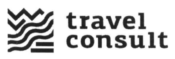 travel consult