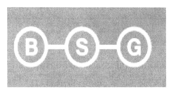 bsg