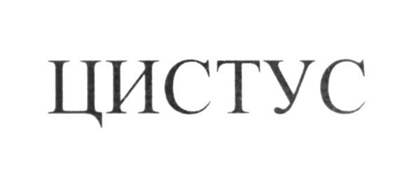 цистус