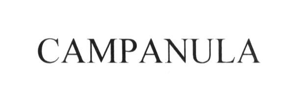campanula