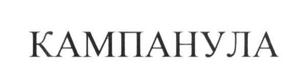 кампанула