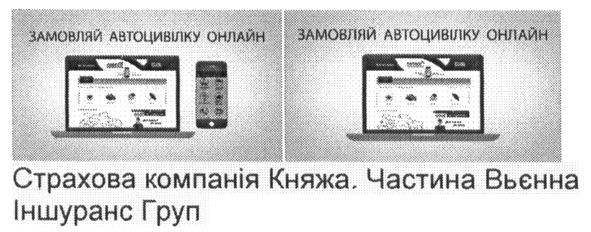 страхова компанія княжа частина вьєнна іншуранс груп