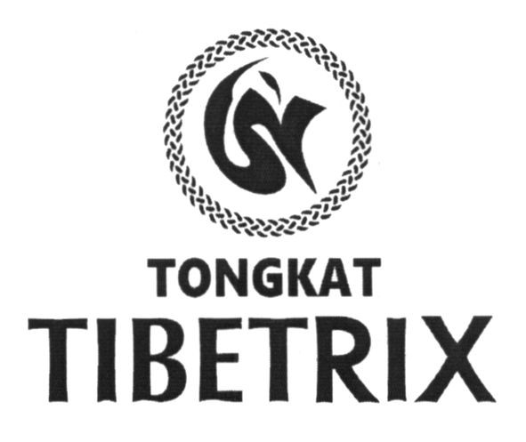 tongkat tibetrix