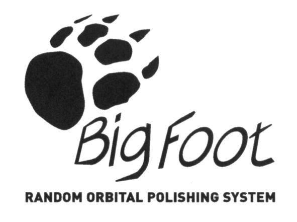 random orbital polishing system