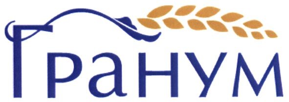 гранум
