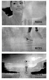 arctica