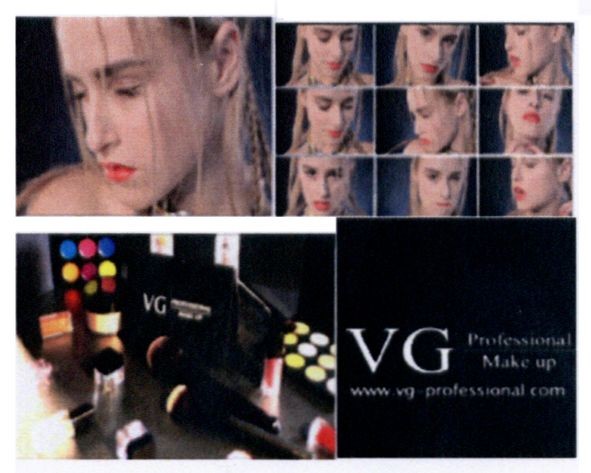 www.vg professional.com