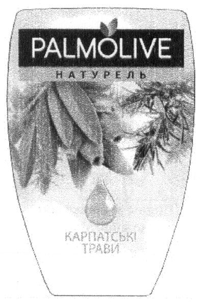 карпатські трави