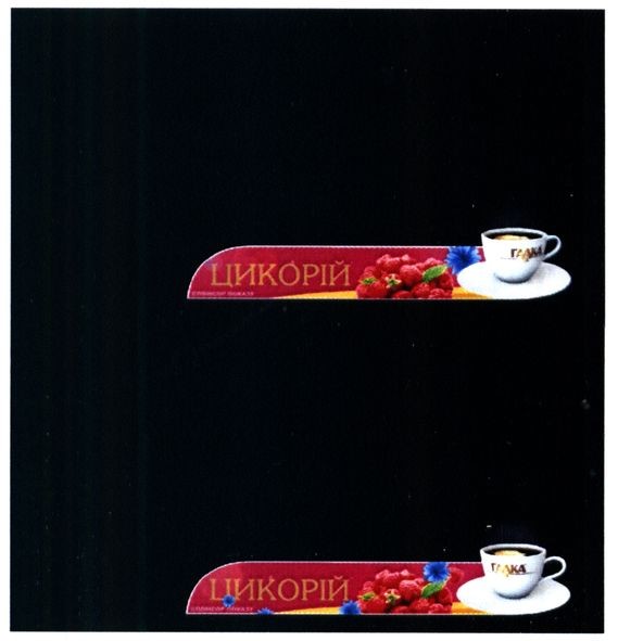 цикорій