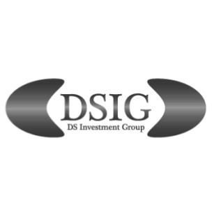 ds investment group