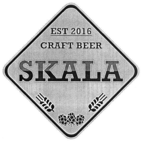 craft beer