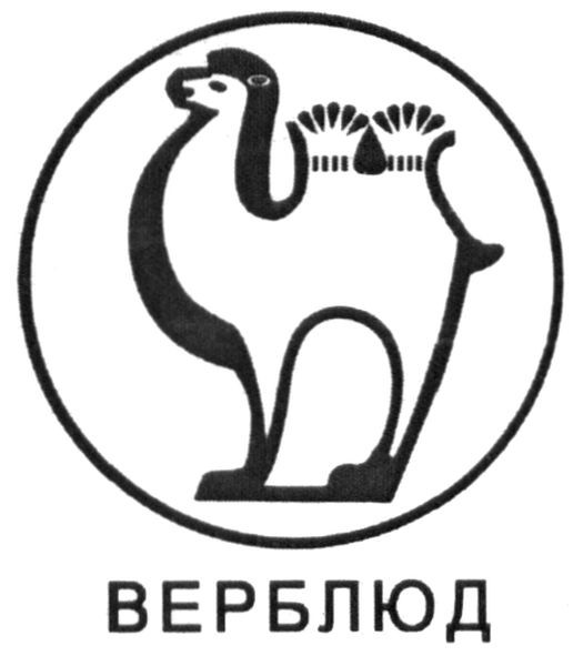 верблюд