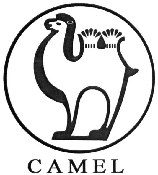 camel