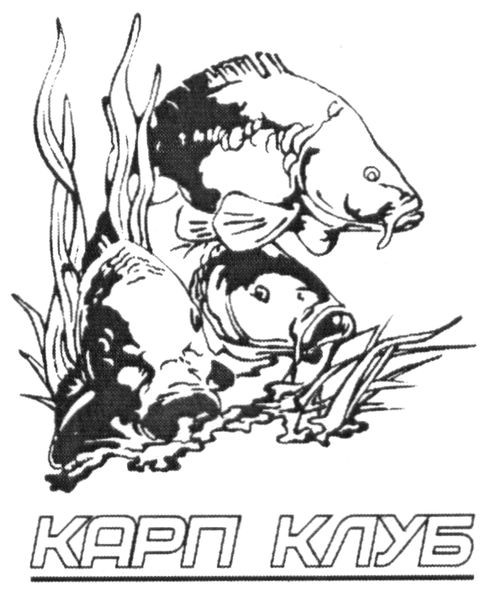 карп клуб