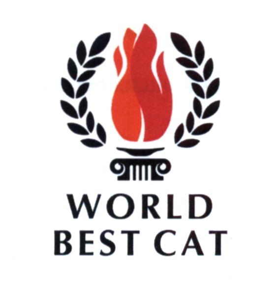 world best cat