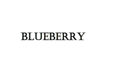 blueberry