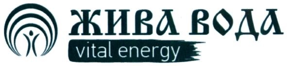 vital energy