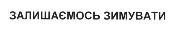 залишаємось зимувати