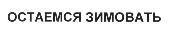 остаемся зимовать