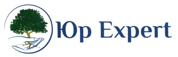 юр expert