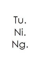 tu.ni.ng