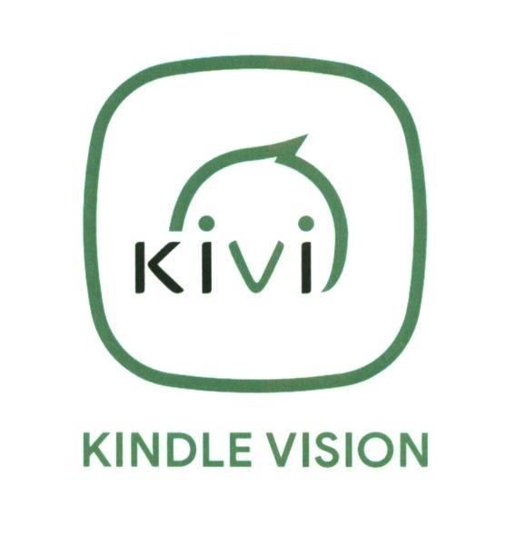 kindle vision