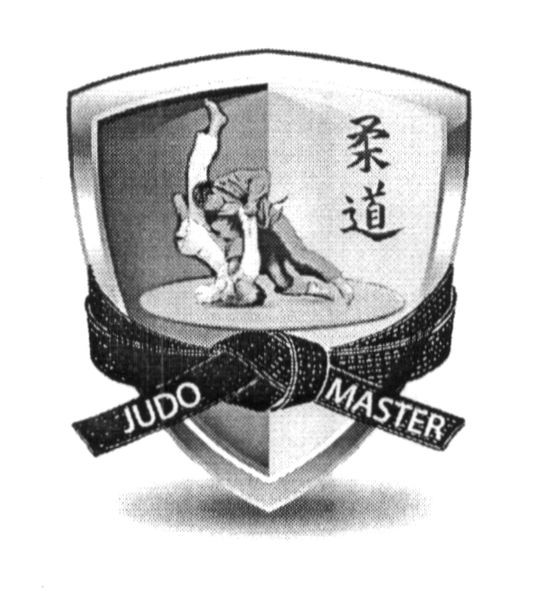 judo master