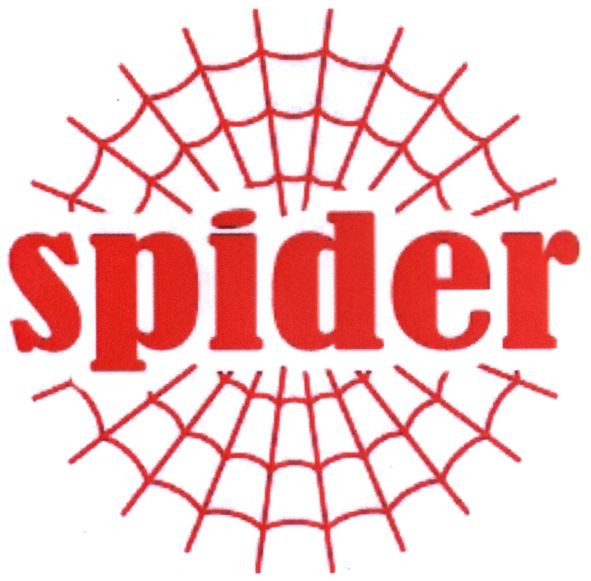 spider