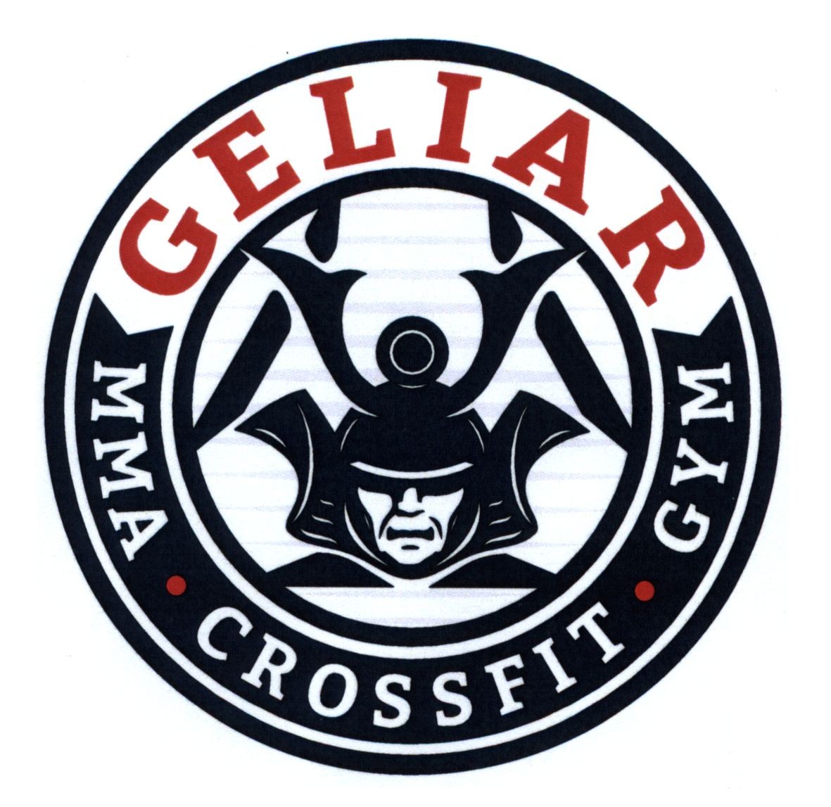 mma crossfit gym
