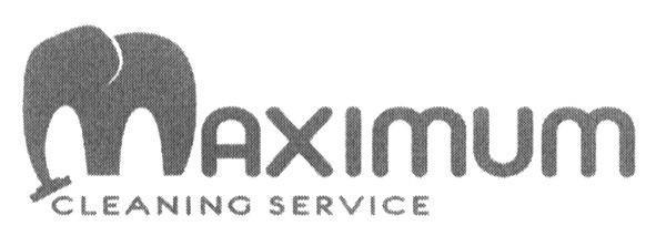 maximum cleaning service