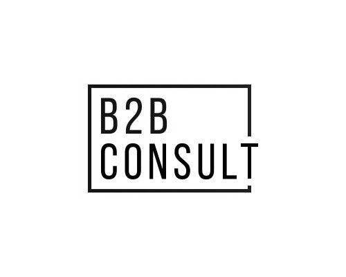 b2b consult