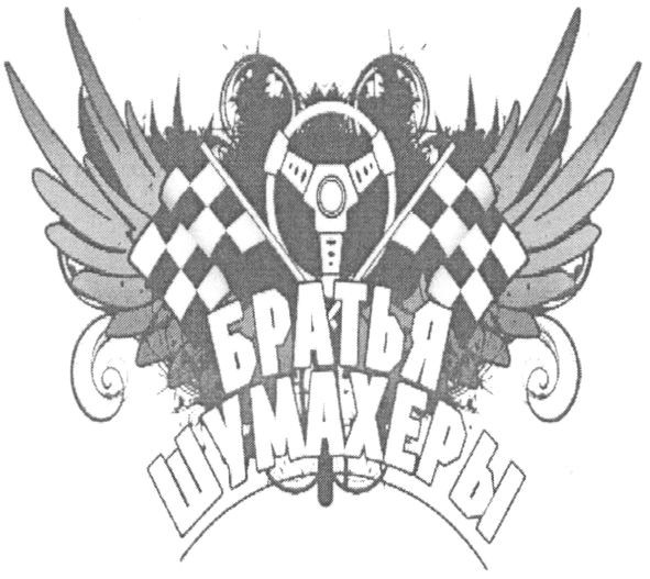 братья шумахеры