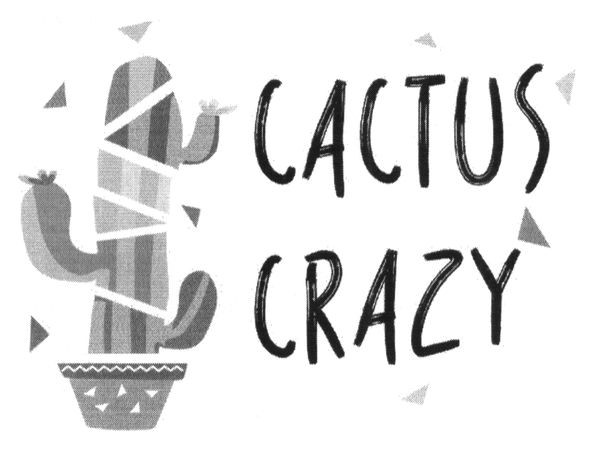 cactus crazy