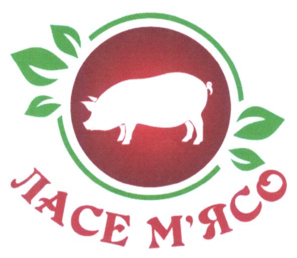 ласе м`ясо