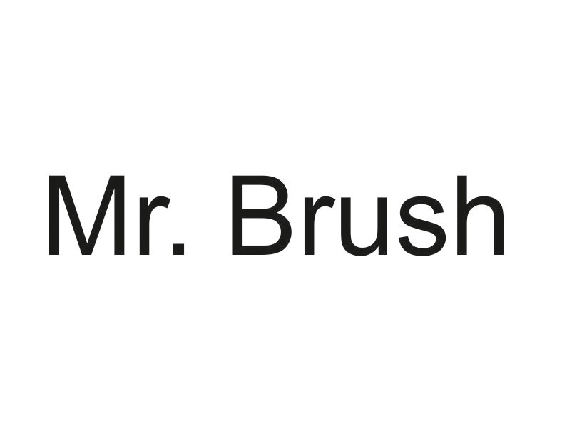 mr brush