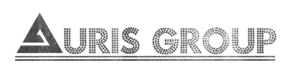 auris group