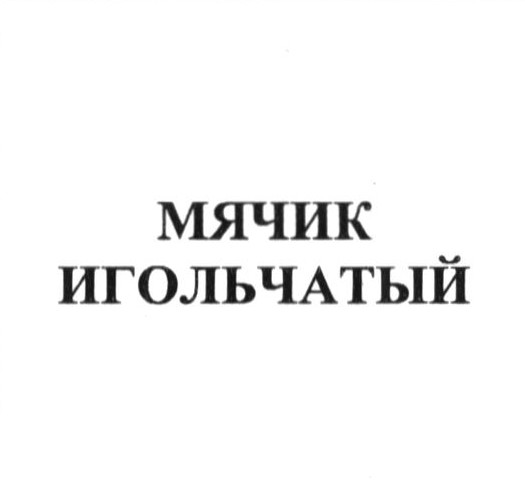 мячик игольчатый