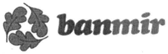 banmir