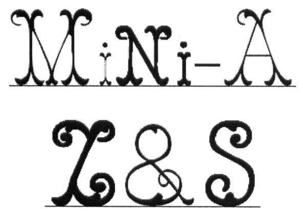 mini-a z&s