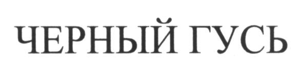 черный гусь