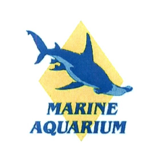 marine aquarium
