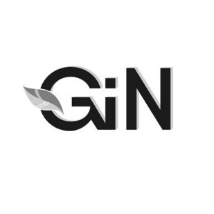 gin
