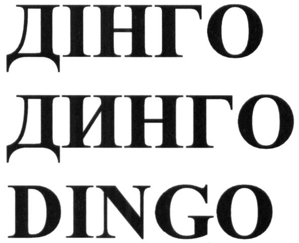 dingo